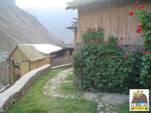 Llahuar Lodge Cabanaconde Buitenkant foto